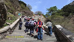 IMG_8015.JPG