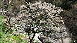 IMG_8016.JPG