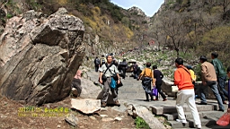 IMG_8020.JPG