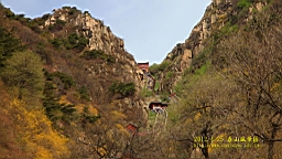 IMG_8021.JPG