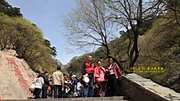 IMG_8025.JPG