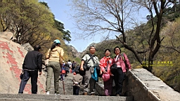 IMG_8026.JPG