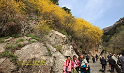 IMG_8030.JPG