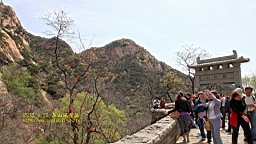 IMG_8034.JPG
