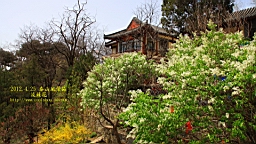 IMG_8035.JPG