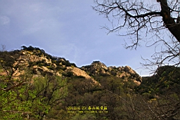 IMG_8040.JPG