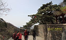 IMG_8043.JPG