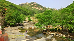 IMG_8053.JPG