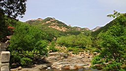 IMG_8054.JPG