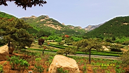 IMG_8057.JPG