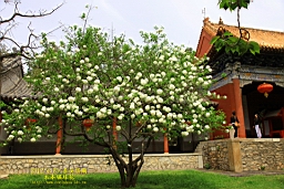 IMG_8072.JPG