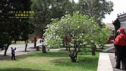 IMG_8075.JPG