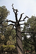 IMG_8080.JPG