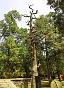 IMG_8081.JPG