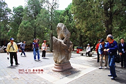 IMG_8083.JPG