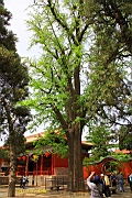 IMG_8089.JPG