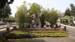 IMG_8093.JPG