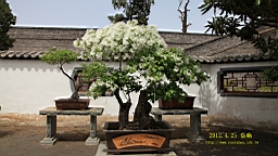 IMG_8094.JPG
