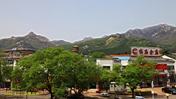 IMG_8095.JPG
