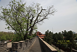 IMG_8096.JPG