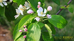 IMG_8119.JPG