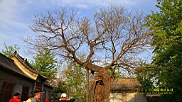 IMG_8142.JPG