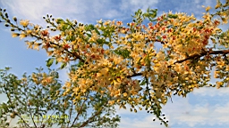 IMG_8150.JPG