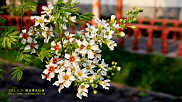 IMG_8151.JPG