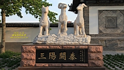 IMG_8161.JPG