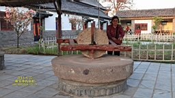 IMG_8173.JPG