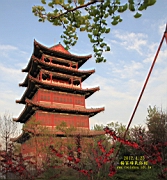 IMG_8174.JPG