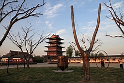 IMG_8178.JPG