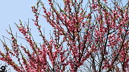 IMG_8189.JPG