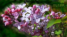 IMG_8190.JPG