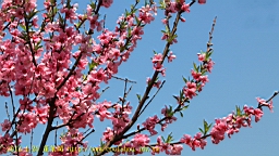 IMG_8191.JPG