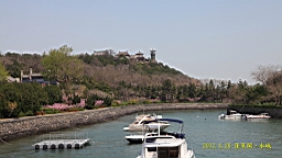 IMG_8195.JPG