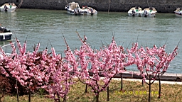 IMG_8200.JPG