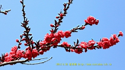 IMG_8204.JPG