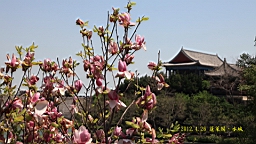 IMG_8206.JPG
