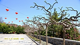 IMG_8209.JPG
