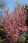 IMG_8210.JPG