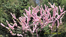 IMG_8211.JPG