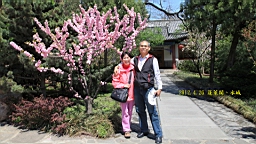 IMG_8212.JPG
