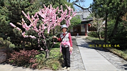 IMG_8213.JPG