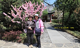 IMG_8214.JPG