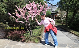 IMG_8215.JPG