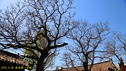 IMG_8229.JPG