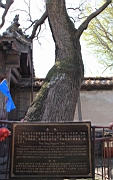 IMG_8230.JPG