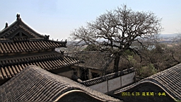 IMG_8236.JPG