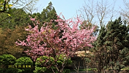 IMG_8249.JPG